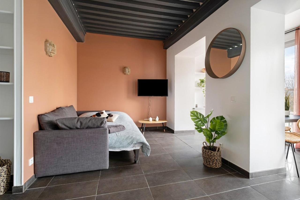 Lyon Cite- Appartement Vue Rhone Terrasse-Caluire Exterior photo